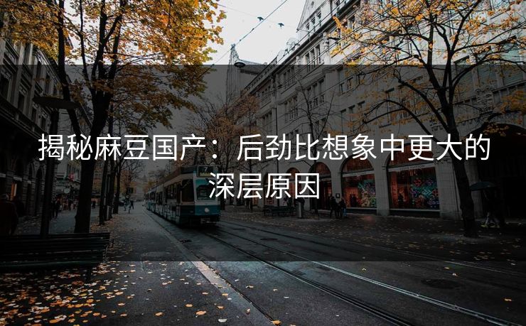 揭秘麻豆国产：后劲比想象中更大的深层原因