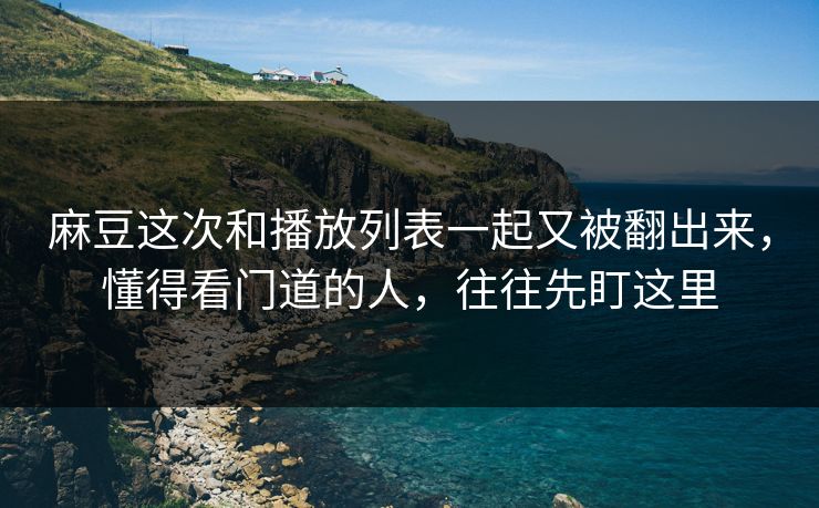 麻豆这次和播放列表一起又被翻出来，懂得看门道的人，往往先盯这里
